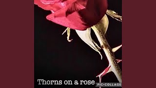 Thorns on a rose