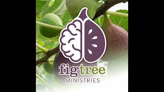 #36 - Wisdom Understanding Knowledge - Proverbs 3:19-20