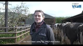 TechMix YMCP Vitall Bolus | Laura Powell | Shropshire