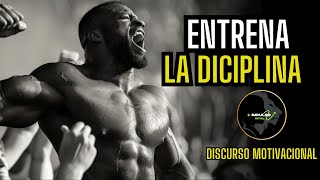 ¿Qué te impide alcanzar el éxito con disciplina y motivación?