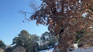 Quiet snowy morning