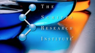 The Scripps Research Institute