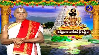 Simha Vahanam | Ammavari Brahmotsavam | Filler | SVBC TTD