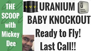 Uranium Baby Knockout Last Call / Western Uranium \u0026 Vanadium (OTCQX: WSTRF) (CSR: WUC) / The Scoop