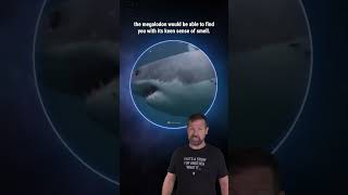 What If You Were Attacked by a Megalodon? #shorts