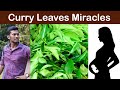 Curry Leaves miracles | Jai Focus