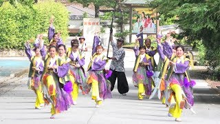 「あぐい騰」長浜あざいあっぱれ祭り2019 【ストリート会場】