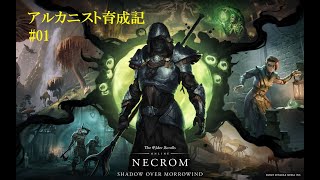 [ESO]#1 The Elder Scrolls Online - ネクロム 新クラス「アルカニスト」育成配信