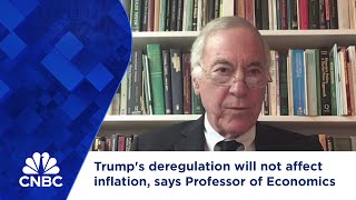 Trump's deregulation will not affect inflation, says Professor of Economics