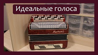 Трудовые будни / Ремонт Баяна Кировский-3