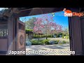 Tour the Trails at the Japanese Friendship Garden in Balboa Park