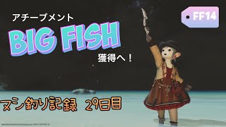 【FF14】アチブBig Fish獲得へ！のんびりヌシ釣り🎣 29日目★紅蓮エリア【まとめ】