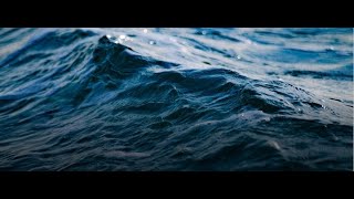 Lab 4: Video 3 - Part B Make Your Own Solution of Known Salinity
