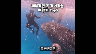 세부 가볼만한곳 여행지 Top5