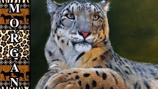 How to paint animals - snow leopard video * EXTENDED PREVIEW * Jason Morgan realistic paintings