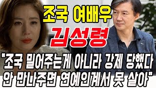 조국 여배우 김성령, 눈물 흘러 충격 발언 \