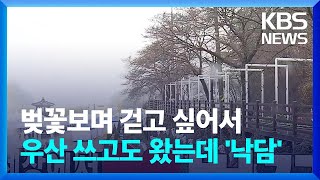 벚꽃보며 걷고 싶어서 우산 쓰고도 찾아왔는데 '낙담' / KBS  2024.03.29.