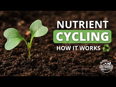 What is nutrient index of soil?