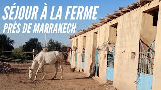 SÉJOUR EN FERME D'HÔTES PRÈS DE MARRAKECH - MAROC