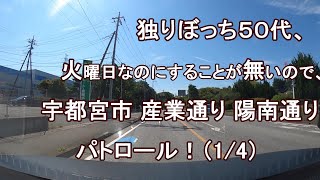 独りぼっち５０代、火曜日なのにすることが無いので、宇都宮市 産業通り 陽南通り パトロール！？（1/4）