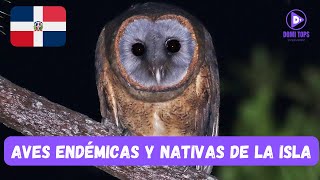 TOP 10 AVES ENDÉMICAS Y NATIVAS DE REPÚBLICA DOMINICANA