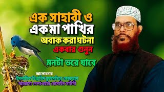 এক সাহাবী ও এক মা পাখির ঘটনা | Allama Dilawar Hussain Saydee | Bangla Waz Mahfil