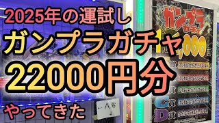 【ガンプラガチャ】22000円分ガンプラガチャをやってきました‼️