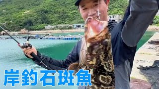 Wanshan Islands shore fishing grouper, unexpected surprises and big things! It's worth driving 1000