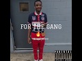Young Seemo - FOR THE GANG
