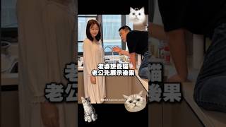 老公提早演示養貓的後果給老婆看 #迷因 #梗圖 #趣味 #搞笑 #shorts #熱門 #推薦 #貓 #喵星人 #寵物 #萌寵 #夫妻 #情侶