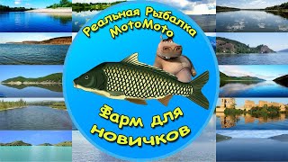 🎣😎 Фарм для новичков на локациях высокого разряда 😉💪 [NEW] | Реальная Рыбалка