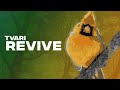 TVARI - Revive | No Copyright Tropical House Music