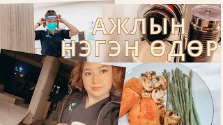 Австралид сувилагчаар ажлаад 4 сар болжээ .. aжлын нэгэн өдөр VLOG