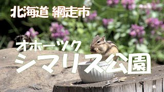 【北海道 #10 網走市】オホーツクシマリス公園さんぽ