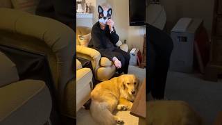 Grandma's Spooky Golden Retriever Halloween Adventure