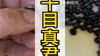 变异眼斑和变异四眼