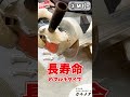 【実演】解体作業に！超長寿命なX-LOCK対応ダイヤモンドカッター ガチメタ【モトユキ】