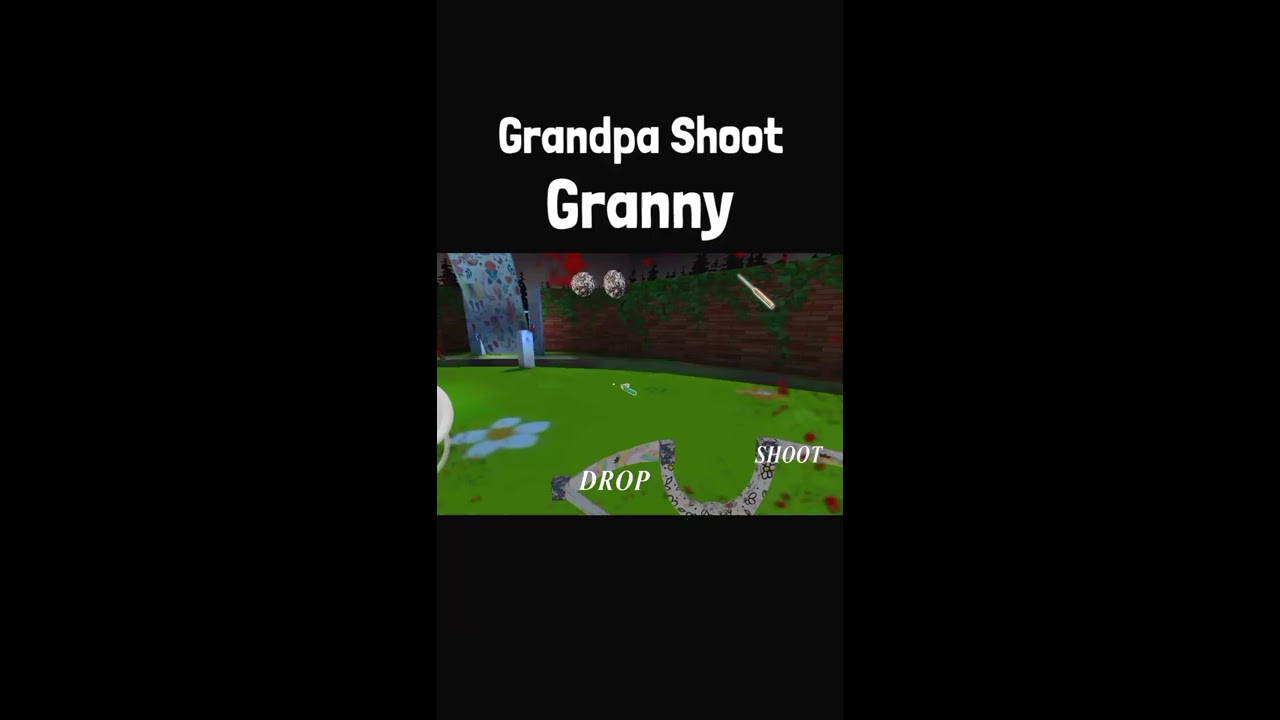 Grandpa Shoot Granny  Granny 3 princess mod