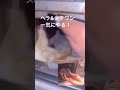 【30分本気掃除】魚焼きグリル2年分の汚れ 家事代行 堺市 shorts