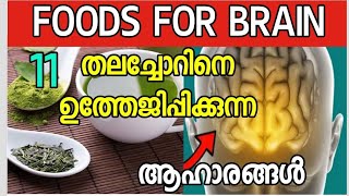 11Brain Boosting Food You Need To Know About. തലച്ചോറിനെ ഉത്തേജിപ്പിക്കും 11 ആഹാരങ്ങൾ.