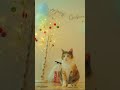 かわいいクリスマス準備猫。　 short christmas xsmas クリスマス　 cat