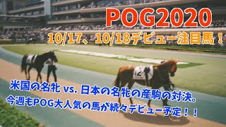 【POG2020】2歳新馬戦注目馬紹介（10/17、10/18）米G1を5勝の名牝の子供 vs. 名牝スイープトウショウの子供。おひさま競馬chのPOGはどうなる！？【血統分析】