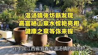 温汤镇张坊新发现，高富硒山泉水惊艳亮相，健康之泉等你来探