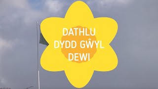 Gwasanaeth Gwyl Dewi - Mawrth 1af 2021 - ar gyfer Ysgolion Cynradd