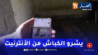 تبسة:  مواطنون يفضلون اقتناء الأضاحي عبر مواقع التواصل عوض التنقل إلى الإصطبلات