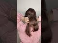 graduation hairstyle hairstyle graduation koreanhairstyles hairstyles tutorial