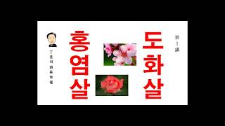 홍염살 도화살- 정시의 사주 명리 제1강 - 홍염살 도화살의 이해.