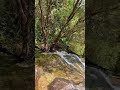 air terjun lata orkid sungai batu jelawang jungle