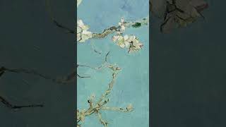 Branches with Almond Blossom by VINCENT VAN GOGH ❤️