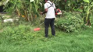 Grass cutter in Nepal